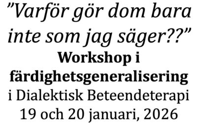 Workshop i färdighetsgeneralisering, 19-20 januari 2026